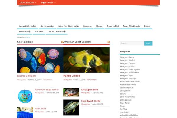 MesoColumn theme site design template sample