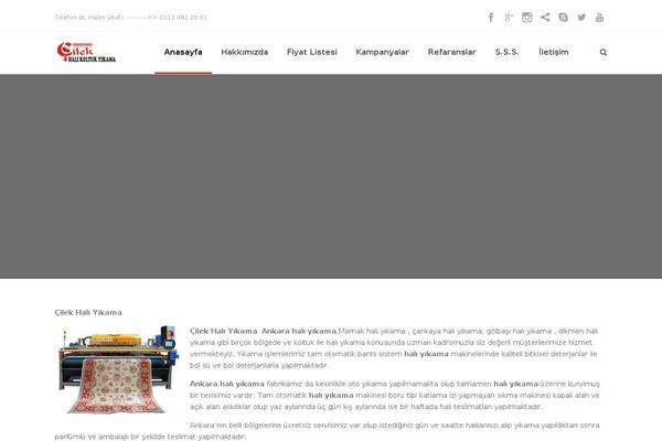 Site using Olevmedia-portfolio plugin