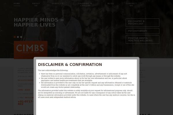 Cherry Framework theme site design template sample