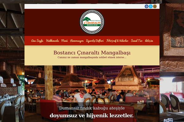 cinaraltimangalbasi.com site used Cinaralti