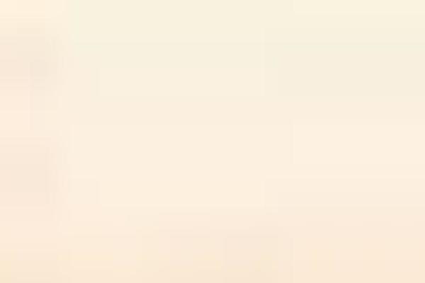 Divi theme site design template sample