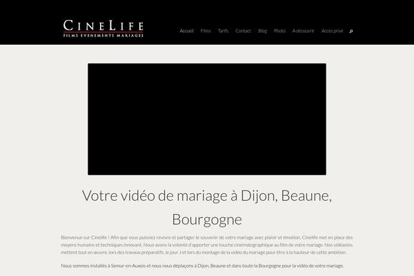 Elite-wp theme site design template sample