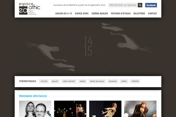 2014 theme site design template sample