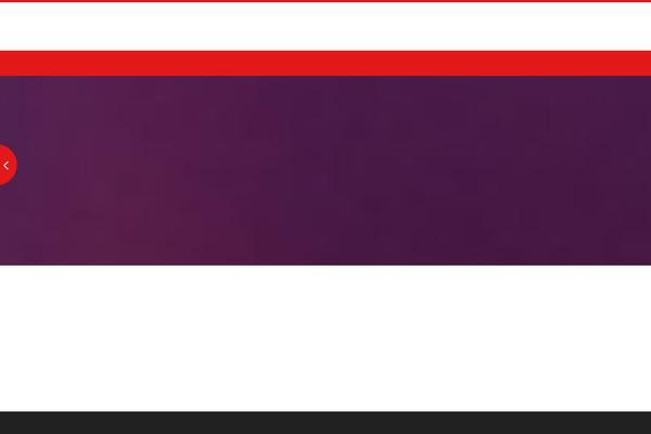 Parallax Pro theme site design template sample