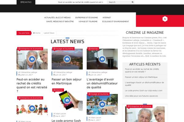 Epira Lite theme site design template sample