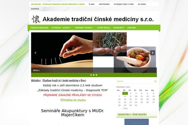 Practis theme site design template sample