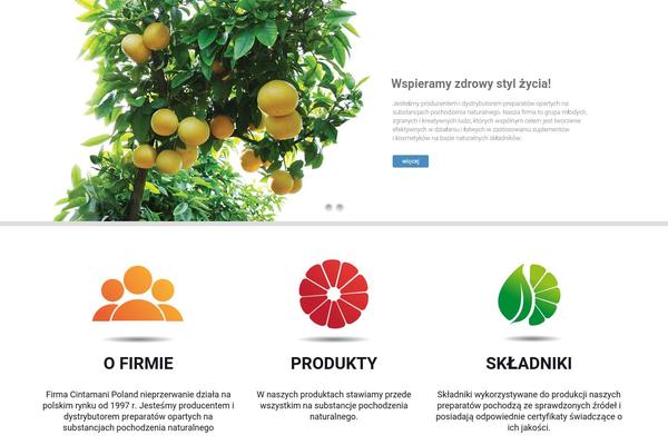 Betheme-new theme site design template sample