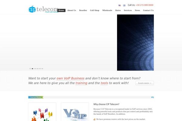 Promotion theme site design template sample