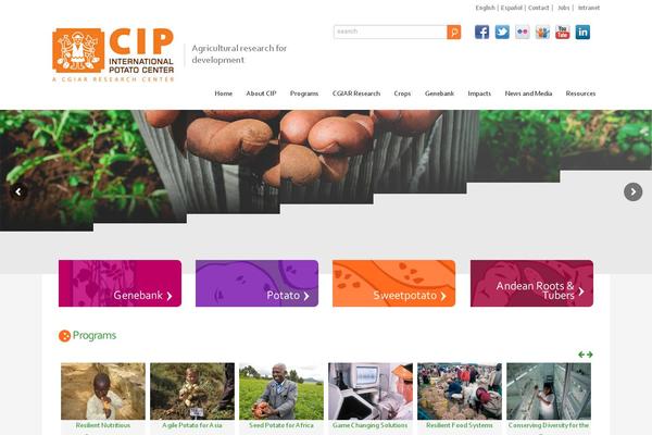attixx theme websites examples