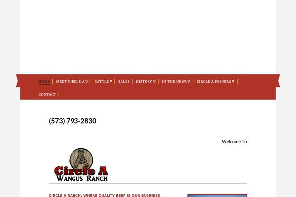 X Child theme site design template sample