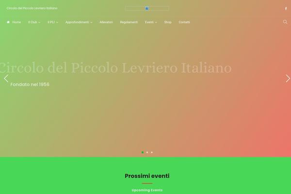 Navian theme site design template sample