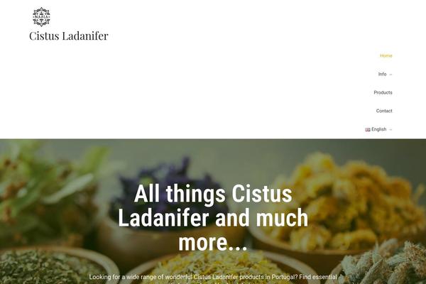 Astra Child theme site design template sample