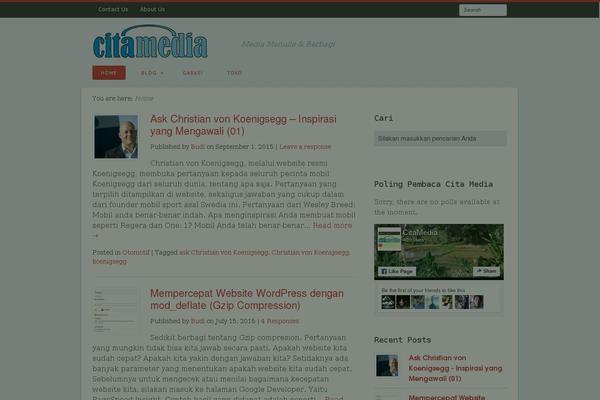 Wishful Blog theme site design template sample