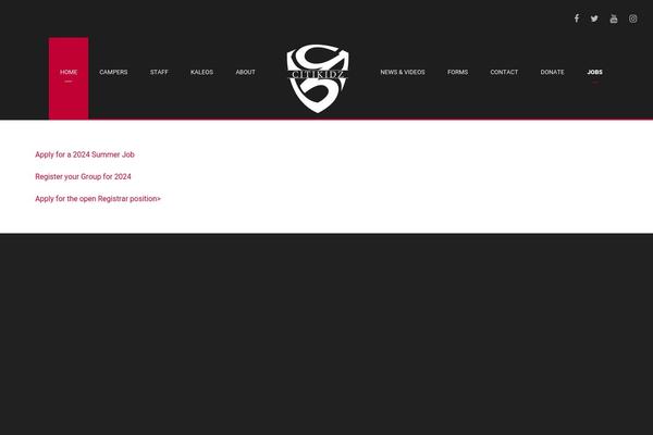 Bigslam theme site design template sample