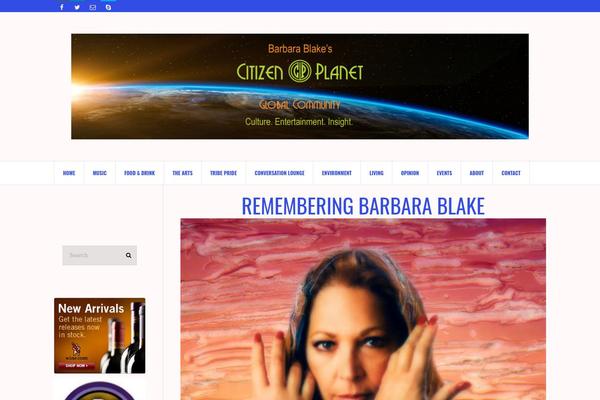 Sj theme site design template sample