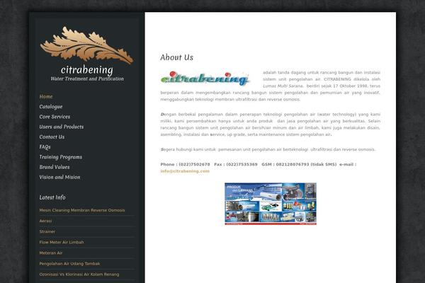 Luminescence Lite theme site design template sample