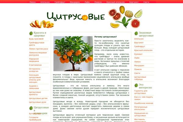 Startup Blog theme site design template sample