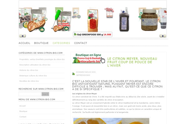 Lugada theme site design template sample
