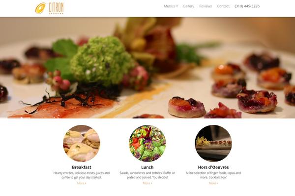 DMS theme site design template sample