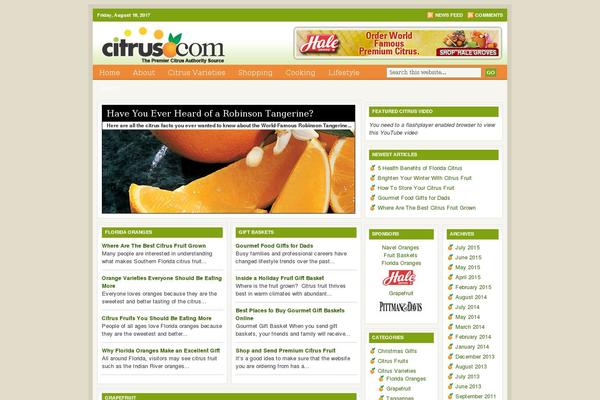 Lifestyle 3.0 theme site design template sample