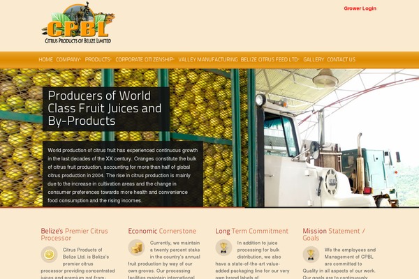 Cameleon theme site design template sample