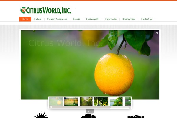 Paralex theme site design template sample