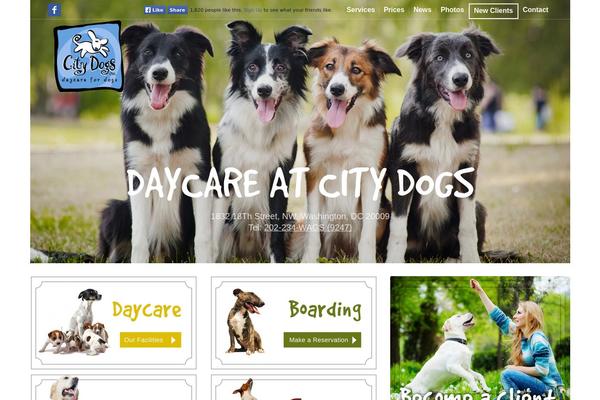 Enfold theme site design template sample