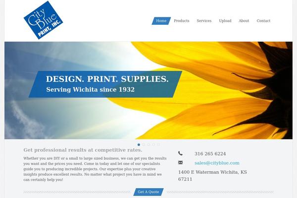 Site using Wordpress-file-upload-pro plugin