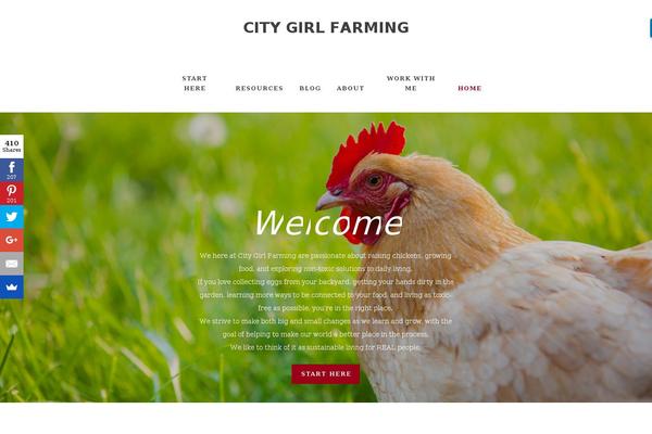 Site using Wp-custom-css plugin