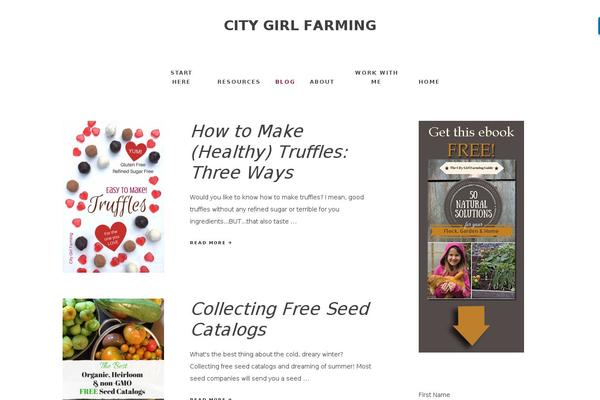 Site using Wp-custom-css plugin