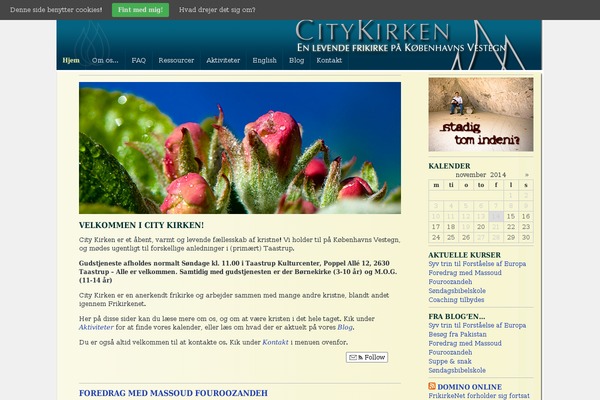 Site using YouTube Embed plugin