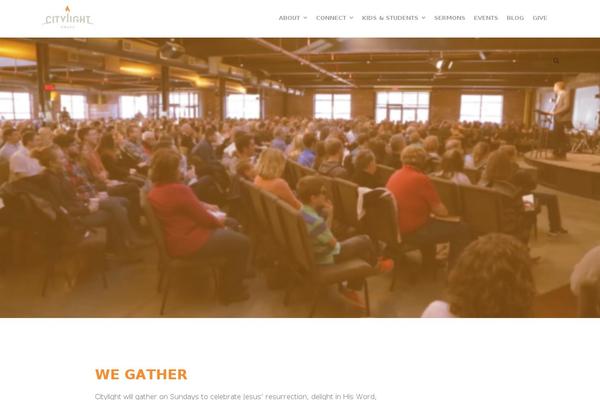 Site using Themetrust-social plugin