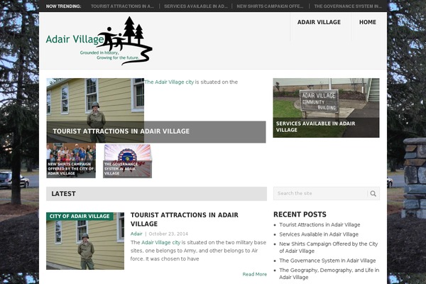Point theme site design template sample