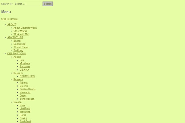 Optimizer theme site design template sample