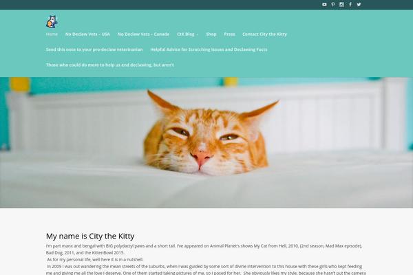 Divi theme site design template sample