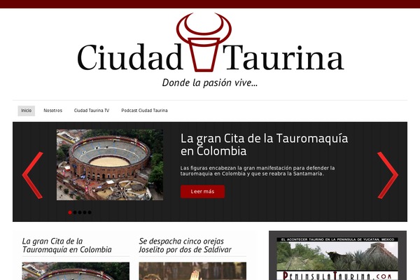 Destro theme site design template sample