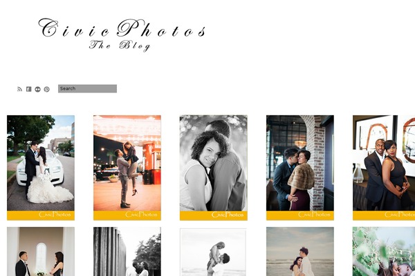 Vega theme site design template sample