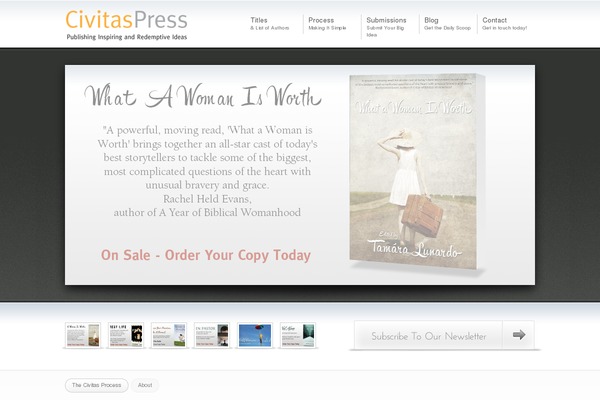 Avisio theme site design template sample