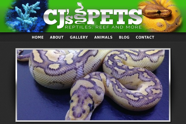 cjspets.com site used Cjspets