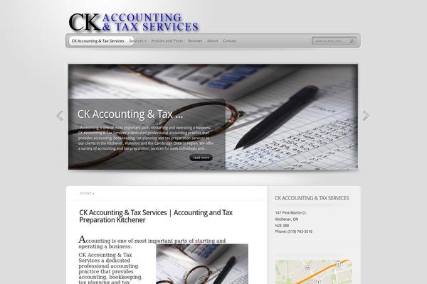 TheProfessional theme site design template sample
