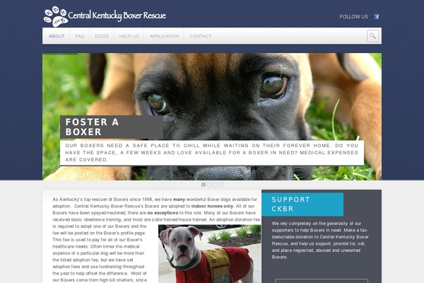 Animal_care_theme theme site design template sample