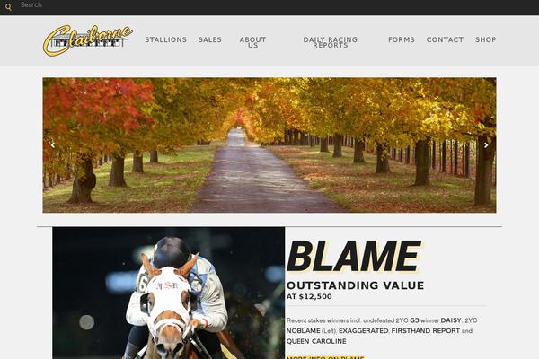 Site using Pagination by BestWebSoft plugin