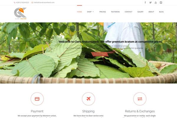 Dp_evolve theme site design template sample