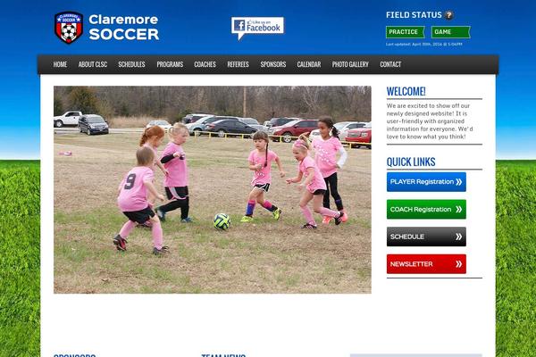 Sports-team-theme theme site design template sample
