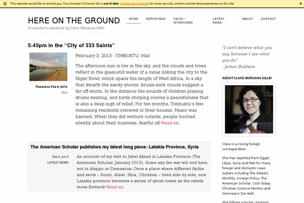 Frank theme site design template sample