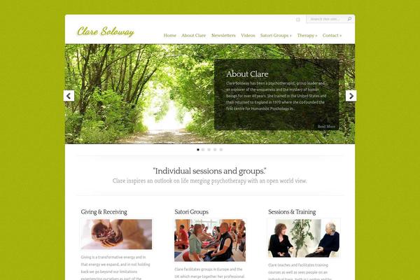 Chameleon theme site design template sample