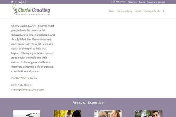 Scc theme site design template sample