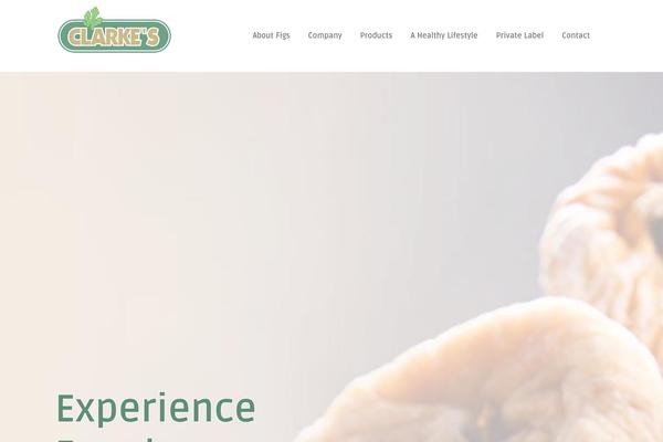 Site using Acoda-counters plugin