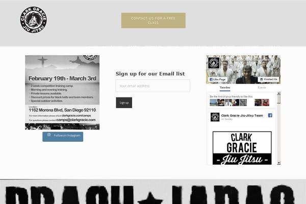 Salient theme site design template sample