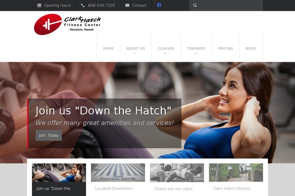 Fit Wp theme site design template sample